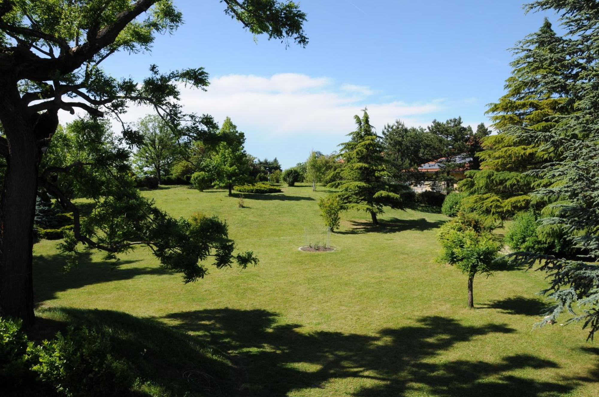 Villa Ester Tagliolo Monferrato Exteriör bild